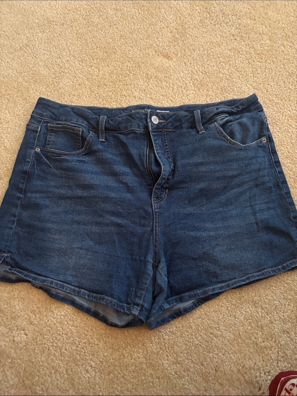 Terra & Sky Dark Blue High-Rise Women's Denim Shorts